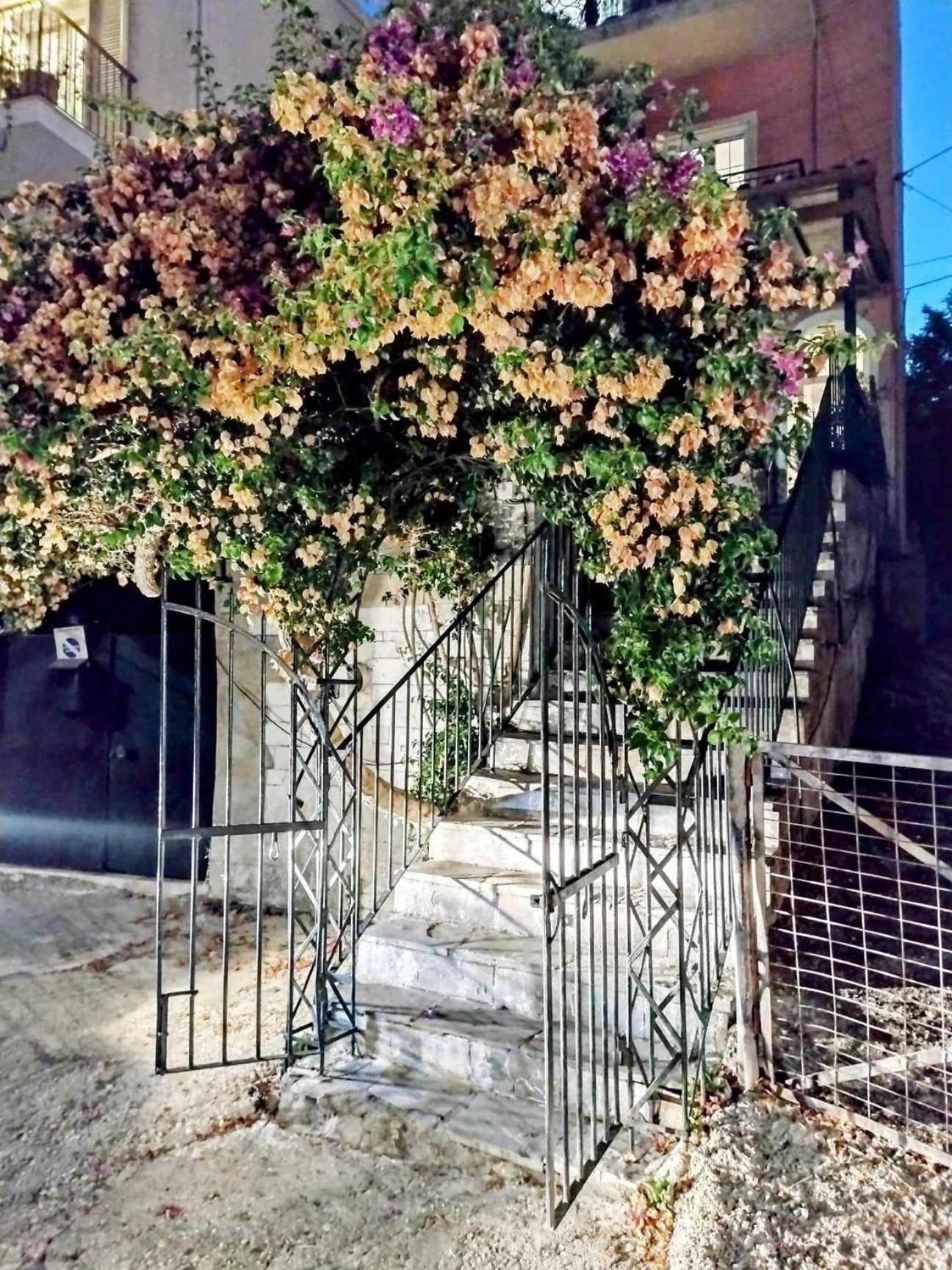 Corfu Pelekas Apartment 2 Extérieur photo